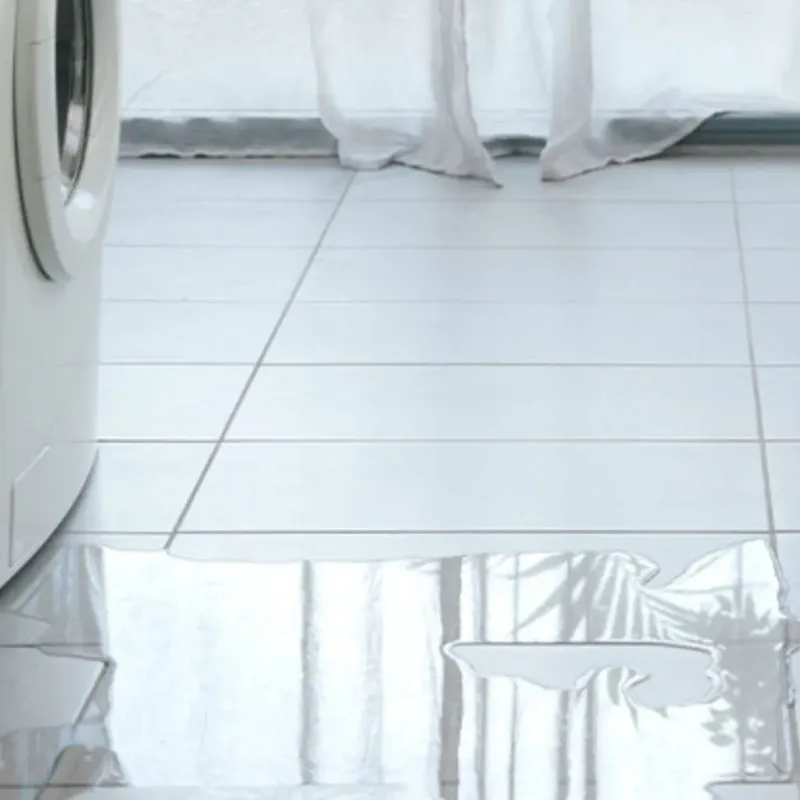 Appliance Leak Cleanup in Grant Parish, LA