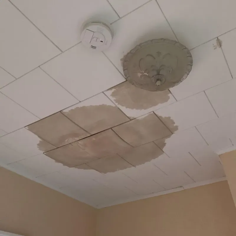 Ceiling Water Damage Repair in Grant Parish, LA